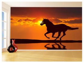 Papel De Parede Animais Cavalo Correndo Campo 3,5M Anm352