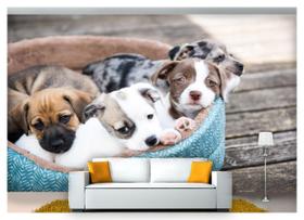Papel De Parede Animais Filhotes Na Cama 3D Anm224
