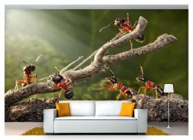 Papel De Parede Animais Formigas Trabalho 3D Anm117