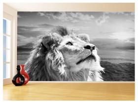 Papel De Parede Animais Leão Por Do Sol Rosto 3,5M Anm474