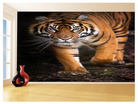 Papel De Parede Animais Tigre Campo Sol Andar 3,5M Anm564