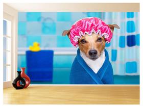 Papel De Parede Animal Cão Petshop Banho Tosa 3,5M Anm377