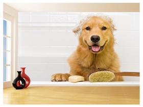 Papel De Parede Animal Cão Petshop Banho Tosa 3,5M Anm383