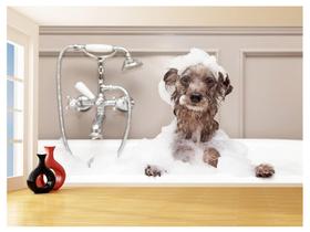 Papel De Parede Animal Cão Petshop Banho Tosa 3,5M Anm384