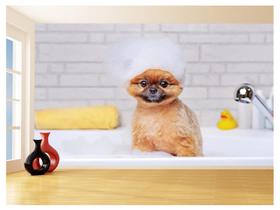 Papel De Parede Animal Cão Petshop Banho Tosa 3,5M Anm388