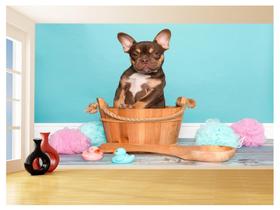 Papel De Parede Animal Cão Petshop Banho Tosa 3,5M Anm389