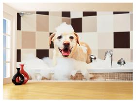 Papel De Parede Animal Cão Petshop Banho Tosa 3,5M Anm392