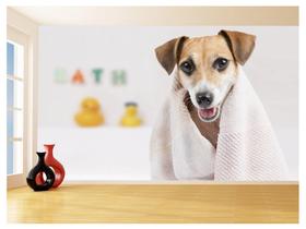 Papel De Parede Animal Cão Petshop Banho Tosa 3,5M Anm397