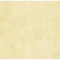 Papel de Parede Bobinex 9027 Textura Linho Bege Areia Papel de Parede Bobinex 9027 Textura Linho Bege Areia