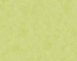 Papel de Parede Boys e Girls 6 688866 - Rolo: 10m x 0,53m