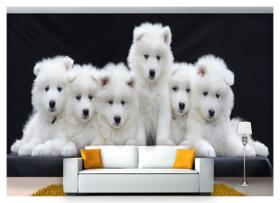 Papel De Parede Cães Filhotes Samoieda 3D Anm242