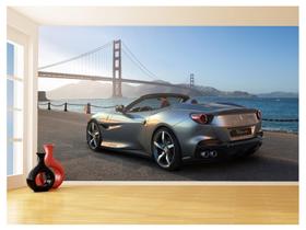 Papel De Parede Carro Ferrari Prata Céu Sport 3,5M Car137