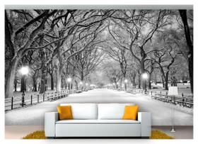 Papel De Parede Cidade Central Park Inverno 6M² Ncd182