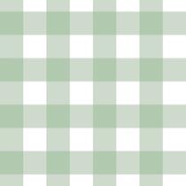Papel de Parede Doce Estilo Xadrez Verde 82120