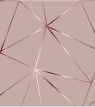 Papel de parede Geométrico Rose Gloss Para Quarto E Sala 1 Metro - PAPEL E PAREDE ADESIVOS