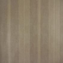 Papel de Parede Listrado Classic Stripes CT889085 Vinílico - Rolo: 10m x 0,53m