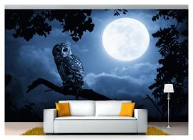 Papel De Parede Lua Cheia Noite Coruja 3D 7,50m² Lua17