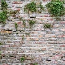 Papel de Parede Muro Ingles Envelhecido Rustico Tijolos Flor