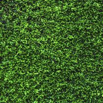 Papel de Parede Muro Ingles Verde Completo Com Folhagem