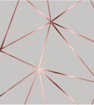 Papel de Parede para Quarto e Sala Geométrico Rose Silver 1 Metro