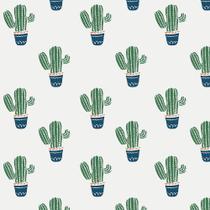 Papel de Parede Para Sala E Quarto Infantil Com Cactos 1 Metro