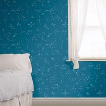 Papel de Parede Pippo Constellation 33611