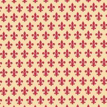 Papel de Parede Plástico Adesivo 45CMX15M Liso Vermelho