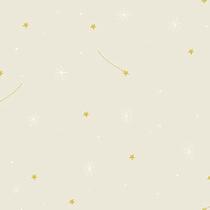 Papel de Parede Pure Kids & Teens Stars KT68467