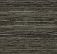 Papel de Parede Serendipity 2 Textura Marrom SR210606