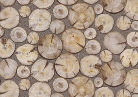Papel de Parede Terra Gracia Roundwood (Light Ash) 831141 Papel de Parede Terra Gracia Roundwood (Light Ash) 831141