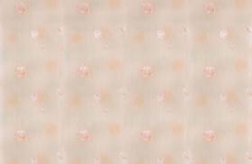 Papel de Parede Texturizado Floral Tulipas Landscape (0,53m x 10m) Papel de Parede Texturizado Floral Tulipas Landscape (0,53m x 10m)