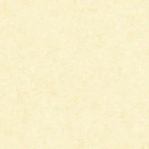 Papel de Parede The Young Ones YM2382 Belga - Rolo: 10m x 0,53m