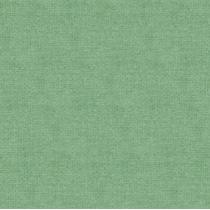 Papel De Parede Vinilico 4156 Contemp Verde