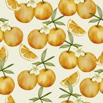 Papel de Parede Vinílico Laranja Fruta Aquarela Cozinha 2.5m