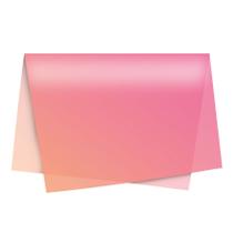 Papel de Seda - 49x69cm - Degradê Rosa - 10 folhas - Rizzo Embalagens - Cromus