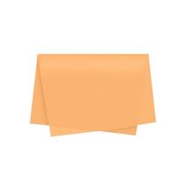 Papel de Seda - 50x70 - Bege Escuro - 10 unidades - Rizzo Papel de Seda - 50x70 - Bege Escuro - 10 unidades - Rizzo