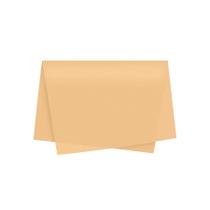 Papel de Seda - 50x70 - Creme - 10 unidades - Rizzo