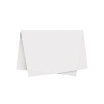 Papel de Seda - 50x70cm - Branco - 10 unidades - Rizzo Papel de Seda - 50x70cm - Branco - 10 unidades - Rizzo