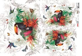 Papel Decoupage Opapel 30x45cm 2405 - Flores Tropicais e Tucano Opa