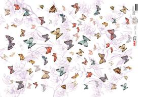 Papel Decoupage Opapel 30x45cm 2523 - Estampa Borboletas Iopa Papel Decoupage Opapel 30x45cm 2523 - Estampa Borboletas Iopa
