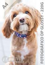 Papel Fotográfico A4 Glossy Dupla Face 220 gramas - 20 Folhas