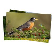 Papel Fotográfico Glossy Brilhante 230g tamanho A4 Pacote com 50 folhas