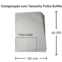 Papel Jornal Tapete Pet Biodegradável Limpo Absorvente 60x35 cm 200 unid