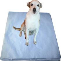 Papel Jornal Tapete Pet Biodegradável Limpo Absorvente 60x60 cm 100 unid