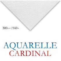 Papel Para Aquarela Clairefontaine Cardinal 300g/m² 50x65cm