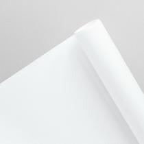 Papel Seda 48x60 cm com 100 unidades