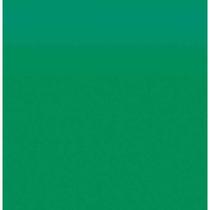 Papel seda verde bandeira 60x48 sdav0061 / 100fl / novaprint