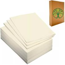 Papel Sulfite A4 70g Reciclado 8 Pacotes com 300 folhas Papel Sulfite A4 70g Reciclado 8 Pacotes com 300 folhas