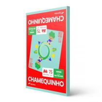 Papel sulfite A4 75g Verde 210x297 com 100 folhas - Chamequinho