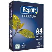Papel Sulfite Report Papel Sulfite Report
